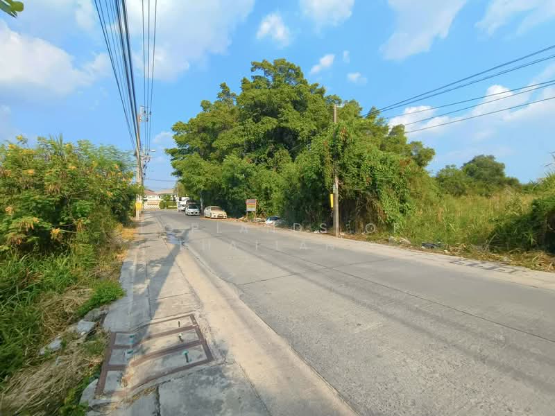 ขาย ที่ดิน หนามแดง-บางพลี อ.เมืองสมุทรปราการ (ใกล้ทางด่วน Motorway) เนื้อที่ 4 - 12 ไร่ ถนน 12 m., Samut Prakan