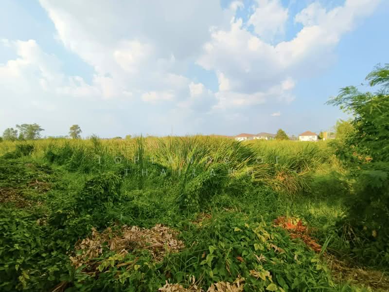 ขาย ที่ดิน หนามแดง-บางพลี อ.เมืองสมุทรปราการ (ใกล้ทางด่วน Motorway) เนื้อที่ 4 - 12 ไร่ ถนน 12 m., Samut Prakan