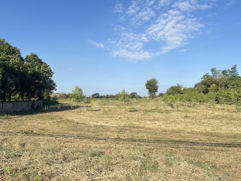 Nong Khae, Saraburi