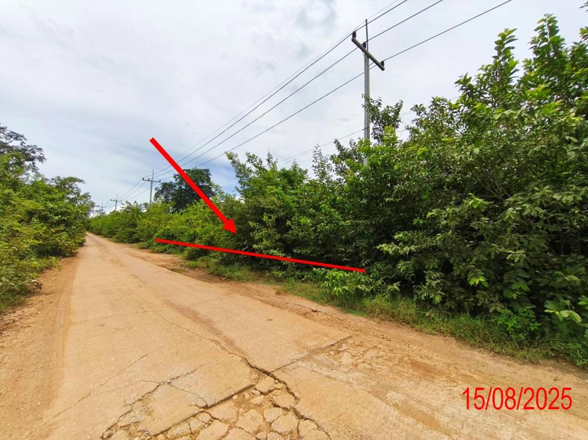 Vacant land, Arunrung Subdivision, Lamphun Province, Lamphun