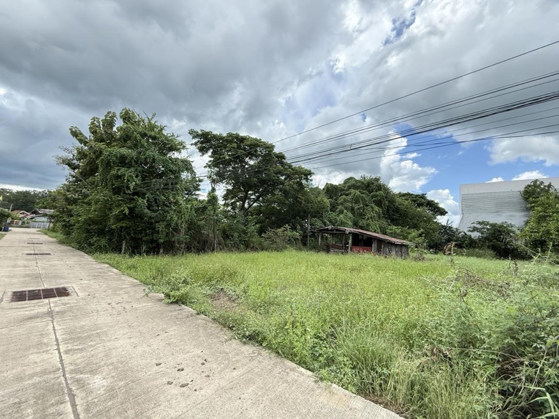 Empty land, Bung Samphan, Chaiyaphum.