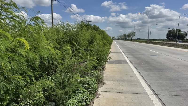 คลองเจ็ด ติดถนนธัญบุรี, Pathum Thani