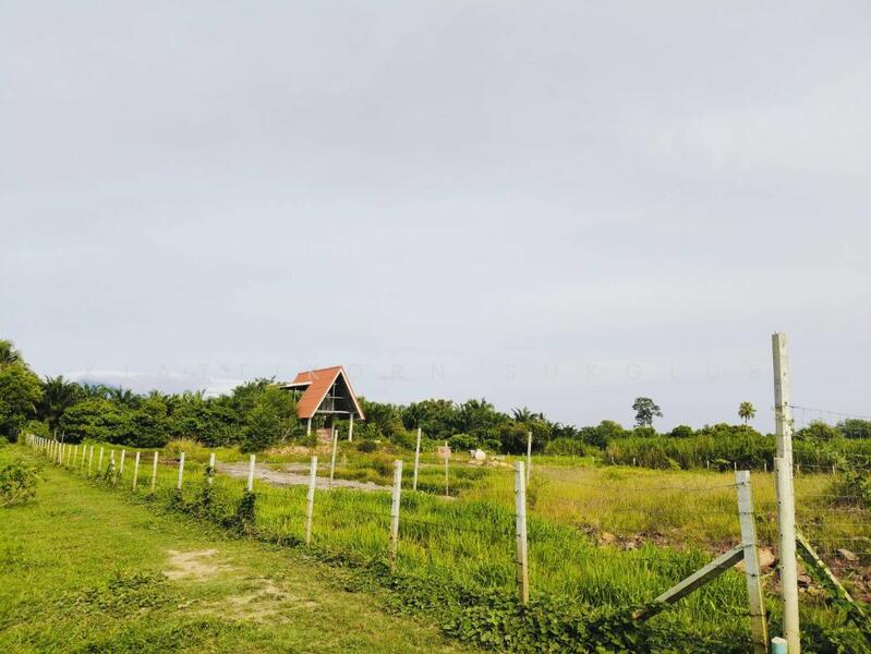 ที่ดิน, Nakhon Si Thammarat