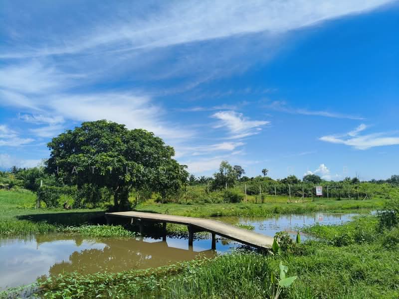 ที่ดิน, Nakhon Si Thammarat