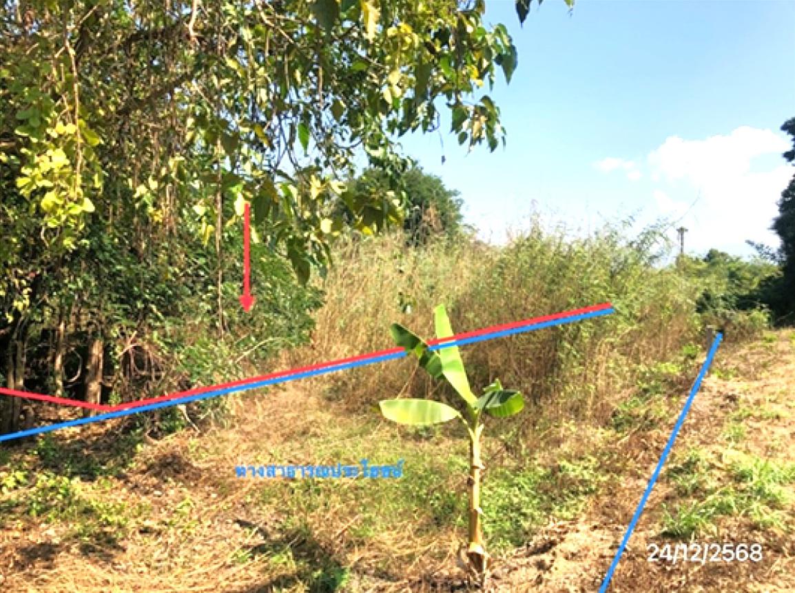 Empty land for sale in Mae Sot, Tak Province.