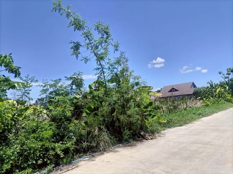 คลองสอง, Pathum Thani