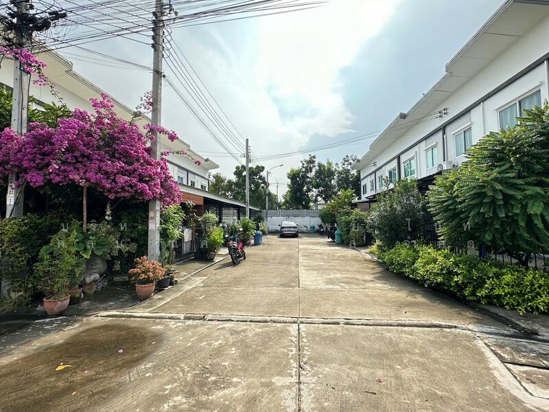Lio Bliss Prachauthit-Suksawat, Samut Prakan
