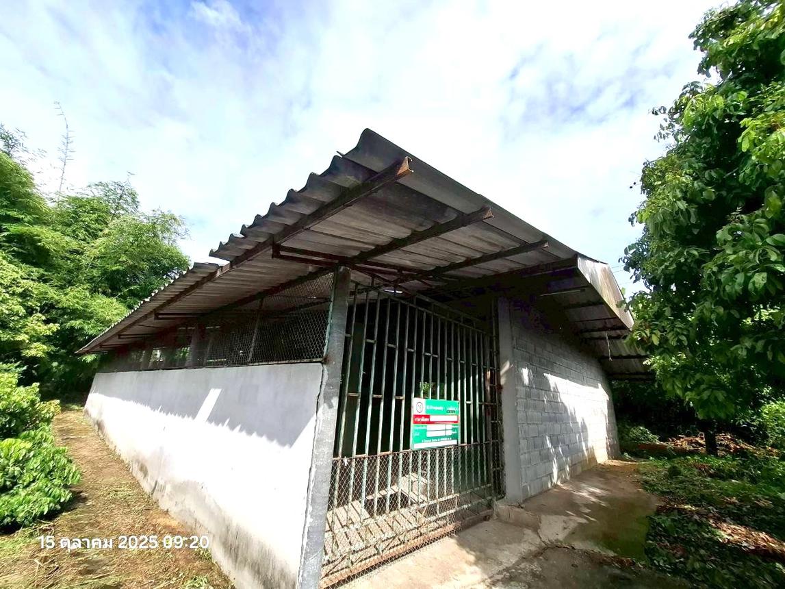 Residential Complex, Chiang Mai, Chom Thong