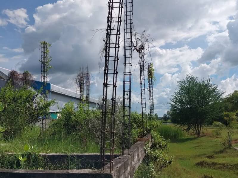 ที่ดินว่างเปล่าร้อยเอ็ด, Roi Et