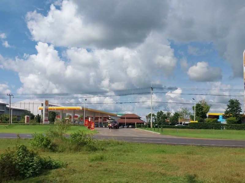 ที่ดินว่างเปล่าร้อยเอ็ด, Roi Et