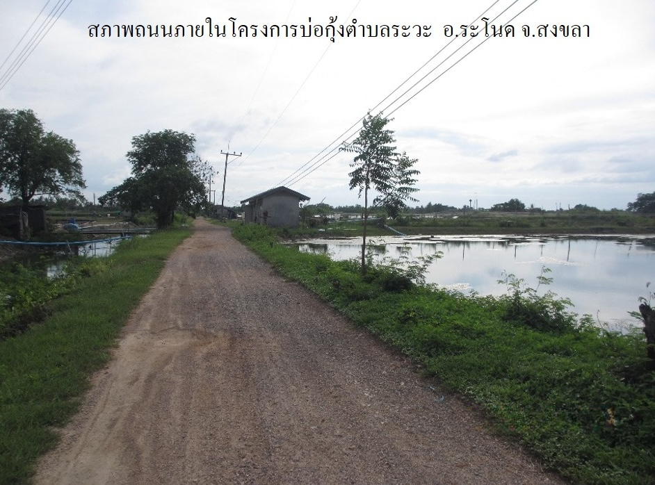 ที่ดินเปล่า โครงการบ่อเลี้ยงกุ้ง ตำบลระวะ สงขลา