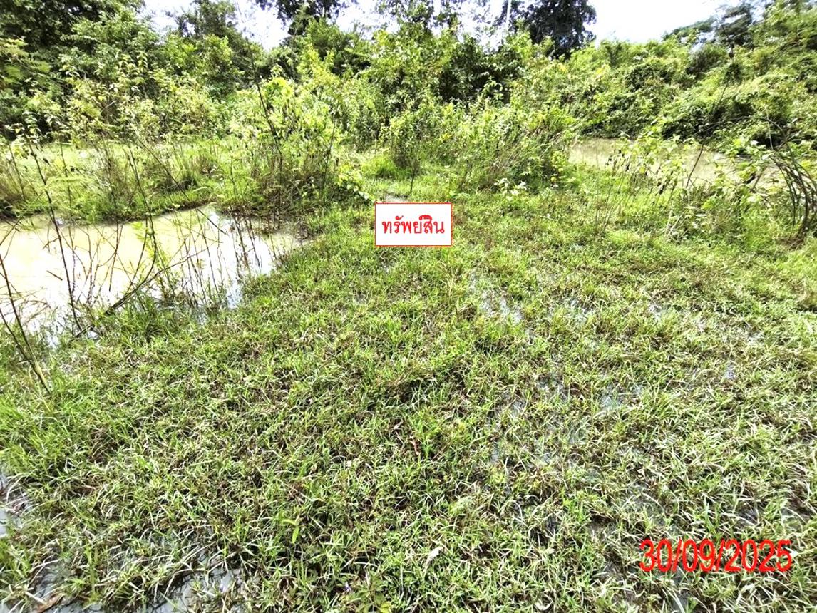 ที่ดินว่างเปล่า บ้านสวนอรุณุร่ง เมืองลำปาง ลำปาง