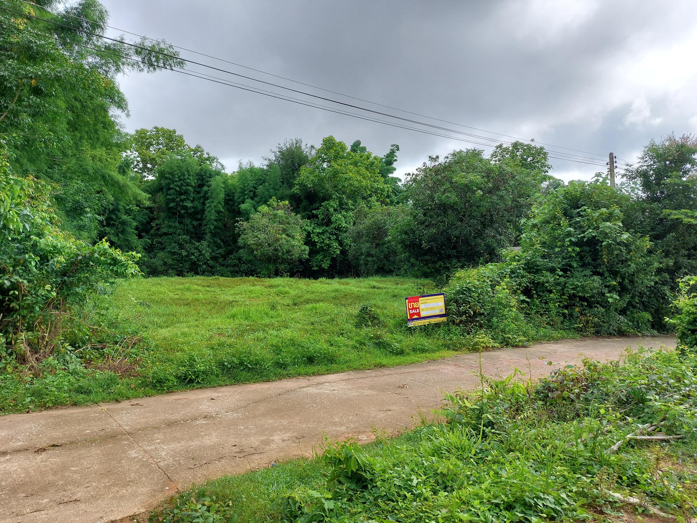Vacant land in Pan Tai subdistrict, Lamphun