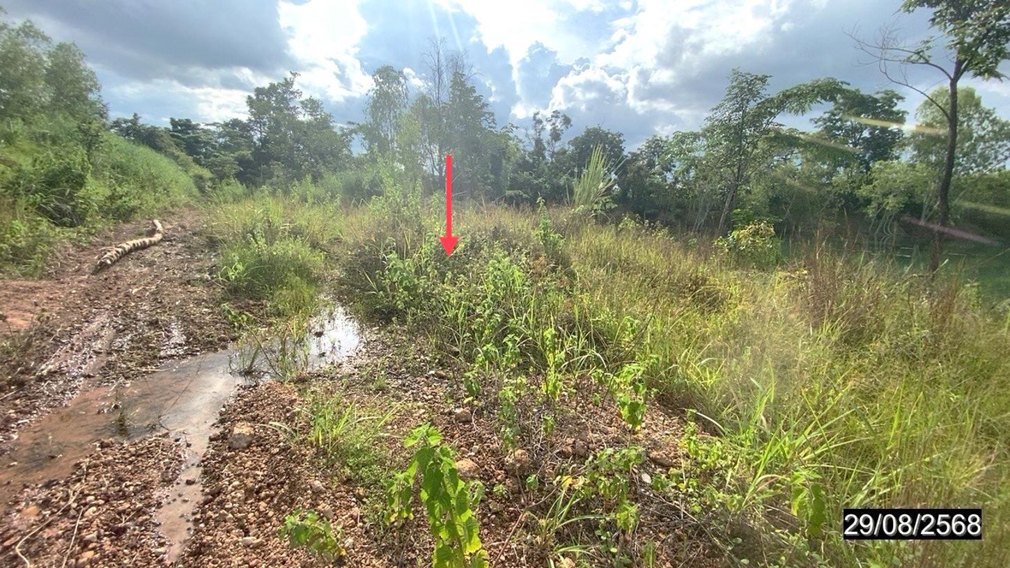 Empty land for sale in Nong Bua Lamphu Province, Nong Bua Lamphu