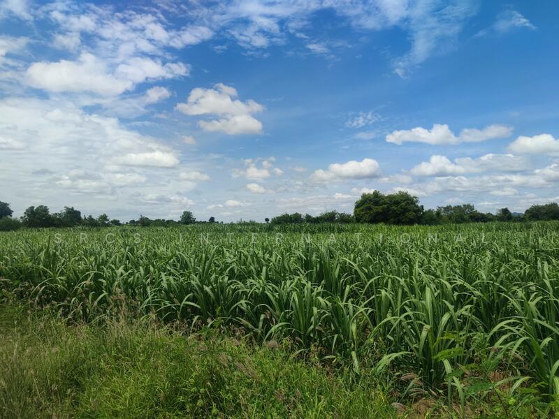 Land in Kanchanaburi, Bo Ploi, 14 rai, suitable for a gas station, investment, located by Road 3086, Kanchanaburi