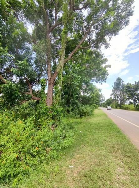 Land in Kanchanaburi, Bo Ploi, 14 rai, suitable for a gas station, investment, located by Road 3086, Kanchanaburi