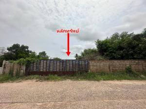 ที่ดินเปล่า หนองกุงศรี จังหวัดกาฬสินธุ์