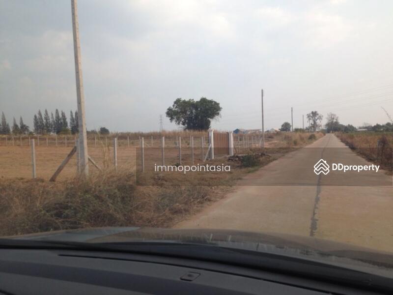 ขายทีดิน เส้น มทส.ประตู2 พร้อม ถนนคอนกรีต น้ำ ไฟ, Nakhon Ratchasima