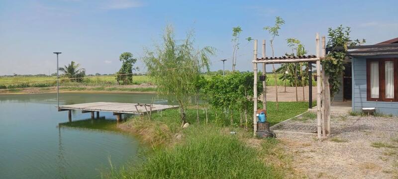 ขายที่ดิน 6 ไร่ เศษ แถมบ้านน้อยปลายนา เหมาะทำการเกษตรพอเพียง พร้อมพักอาศัย พร้อมติดแผงโซล่าเซลล์, Nakhon Nayok
