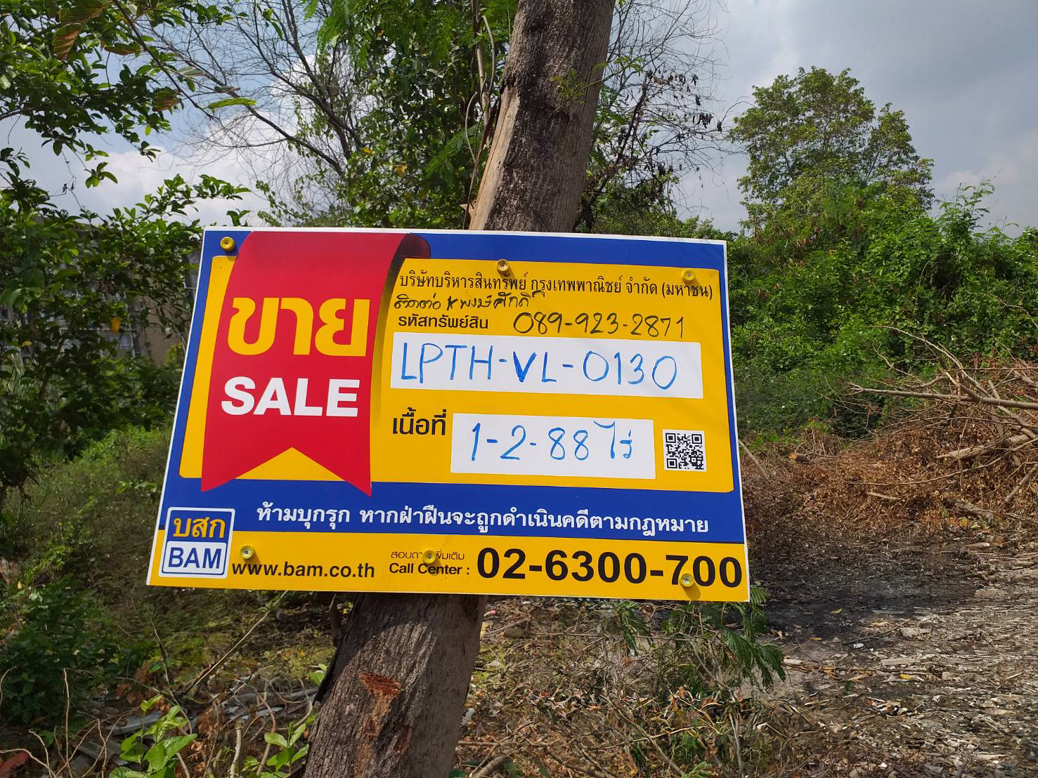Empty land, Klong Luang 23, Pathum Thani.