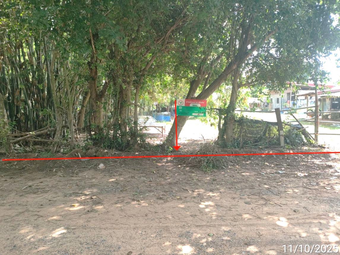 Vacant land for sale in Maha Sarakham, Maha Sarakham Province.