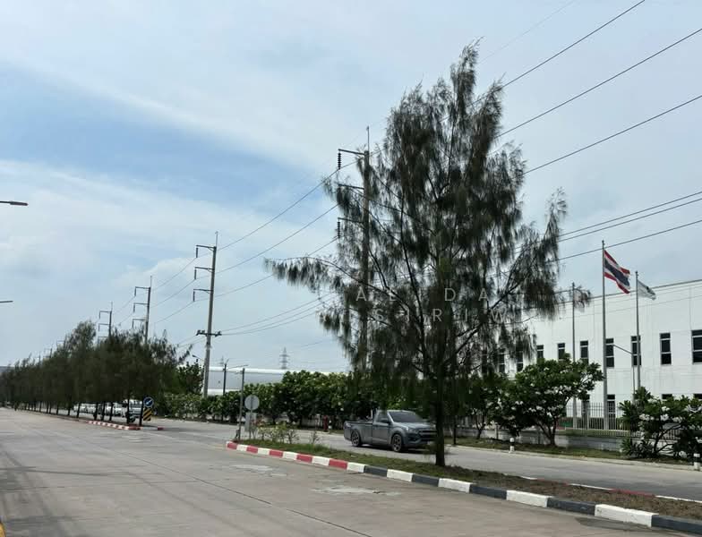 Industrial Land for Sale 5 - 100 Rai | IEAT Chachoengsao, Chachoengsao