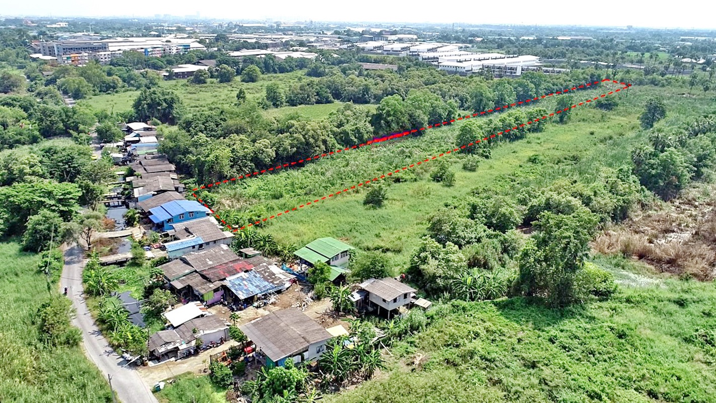 Empty land in Bang Chak, Pathum Thani