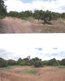 ที่ดินเปล่า เวียงหนองล่อง จังหวัดลำพูน