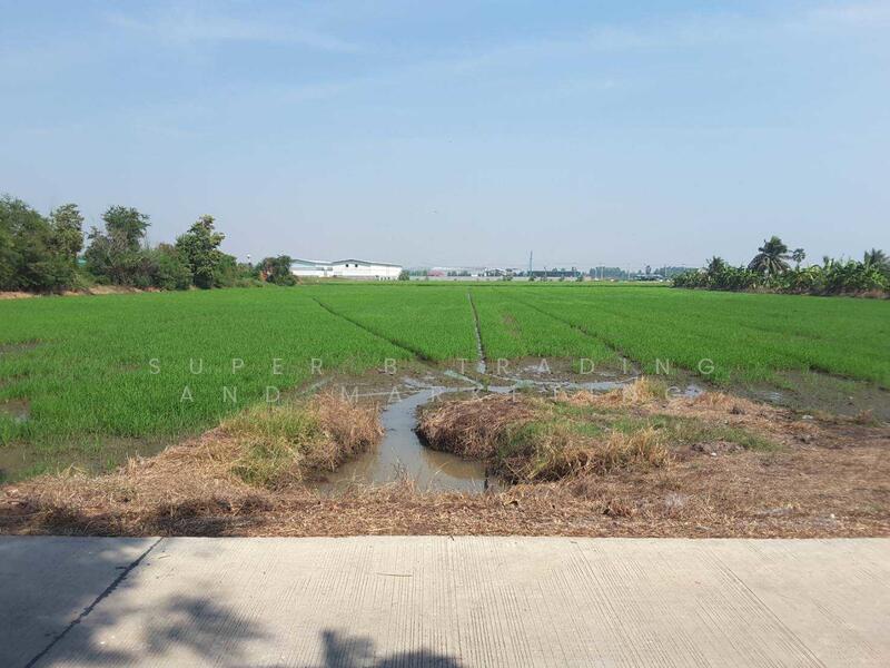 Land for sale, 11 rai, 12 sq m, Tai Ko, Sam Khok, Pathum Thani, Pathum Thani