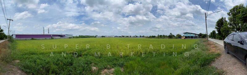 Land for sale, 11 rai, 12 sq m, Tai Ko, Sam Khok, Pathum Thani, Pathum Thani