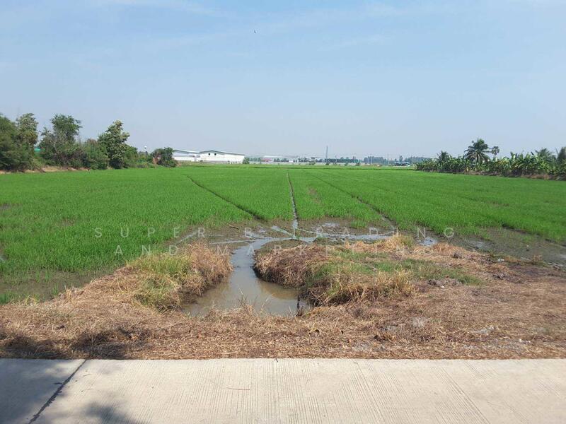 Land for sale, 11 rai, 12 sq m, Tai Ko, Sam Khok, Pathum Thani, Pathum Thani