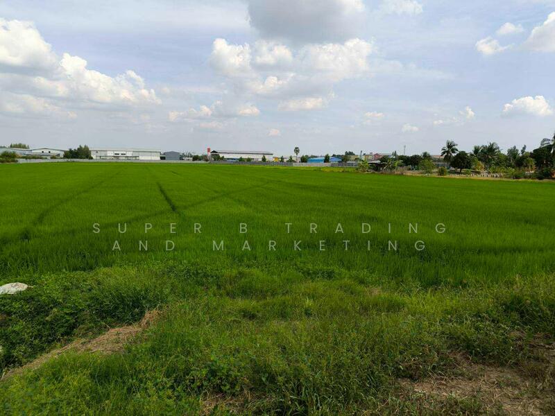 Land for sale, 11 rai, 12 sq m, Tai Ko, Sam Khok, Pathum Thani, Pathum Thani