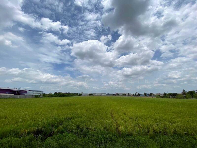 Land for sale, 11 rai, 12 sq m, Tai Ko, Sam Khok, Pathum Thani, Pathum Thani
