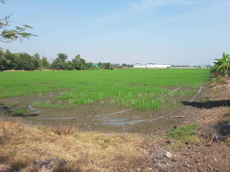 Land for sale, 11 rai, 12 sq m, Tai Ko, Sam Khok, Pathum Thani, Pathum Thani