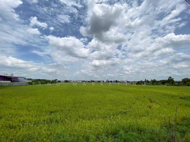 Land for sale, 11 rai, 12 sq m, Tai Ko, Sam Khok, Pathum Thani, Pathum Thani
