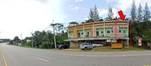 บ้านแถว พนม สุราษฎร์ธานี