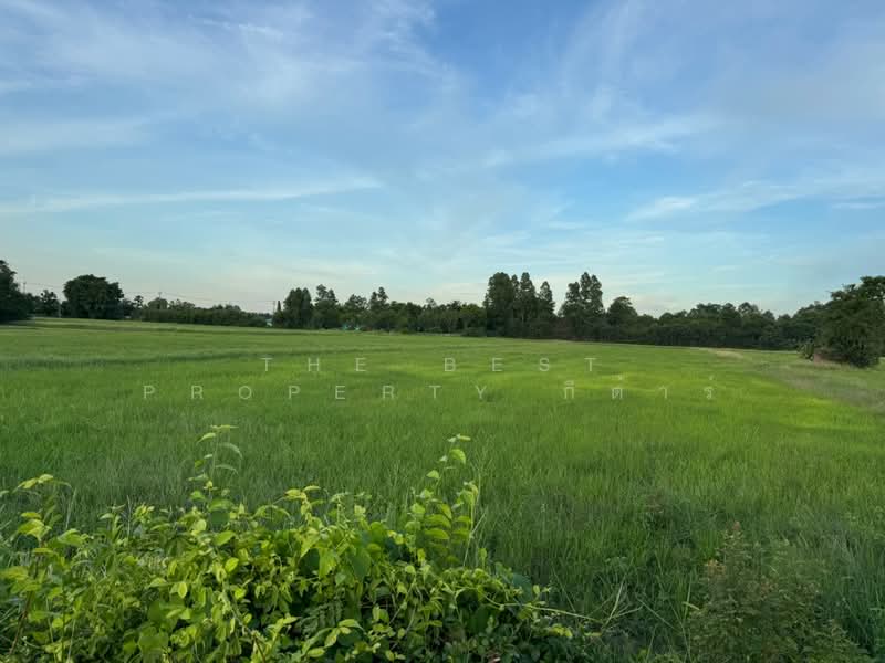 ที่ดิน\บ้านโพธิ์ ฉะเชิงเทรา, Chachoengsao