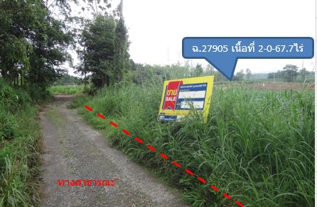 Empty land, Lamphun Sakkhong Project