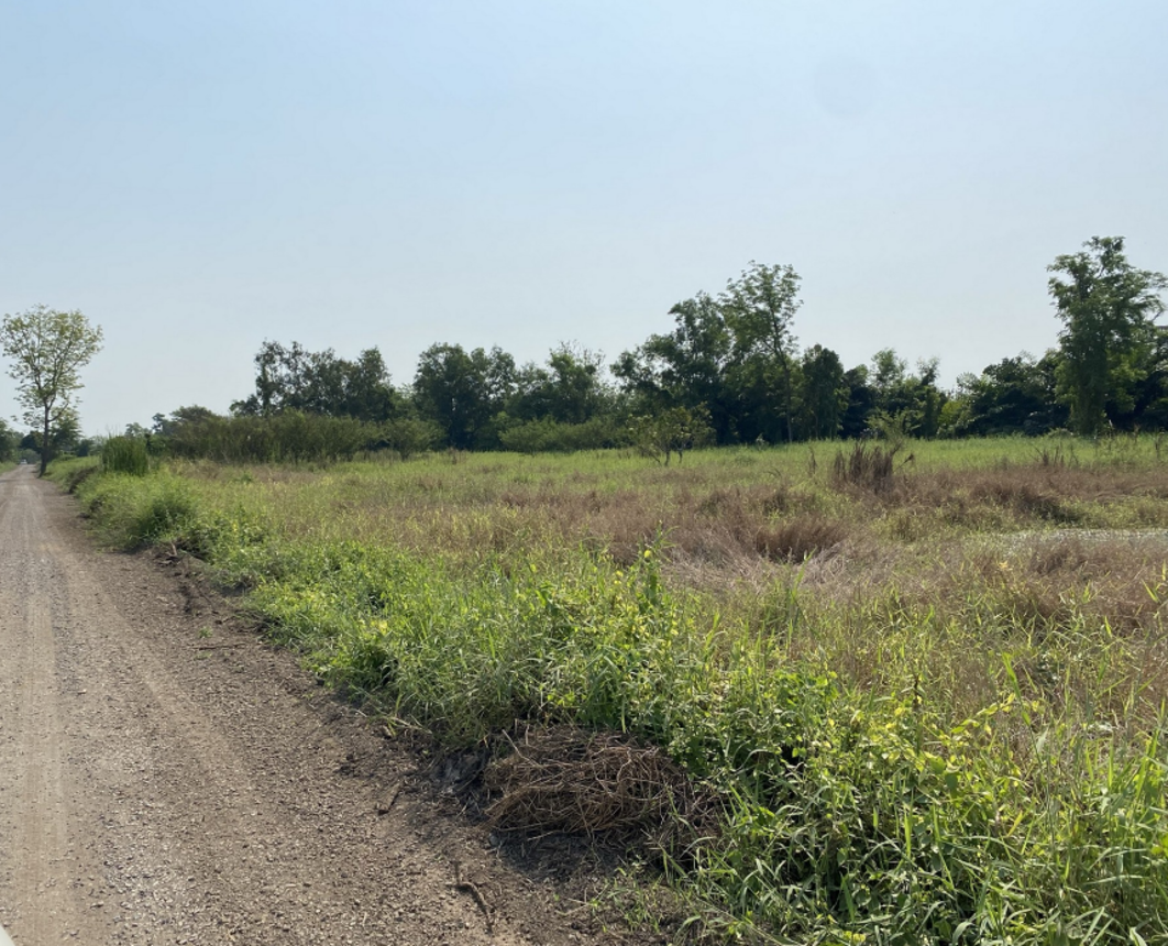 Vacant Land in Nong Suea, Pathum Thani