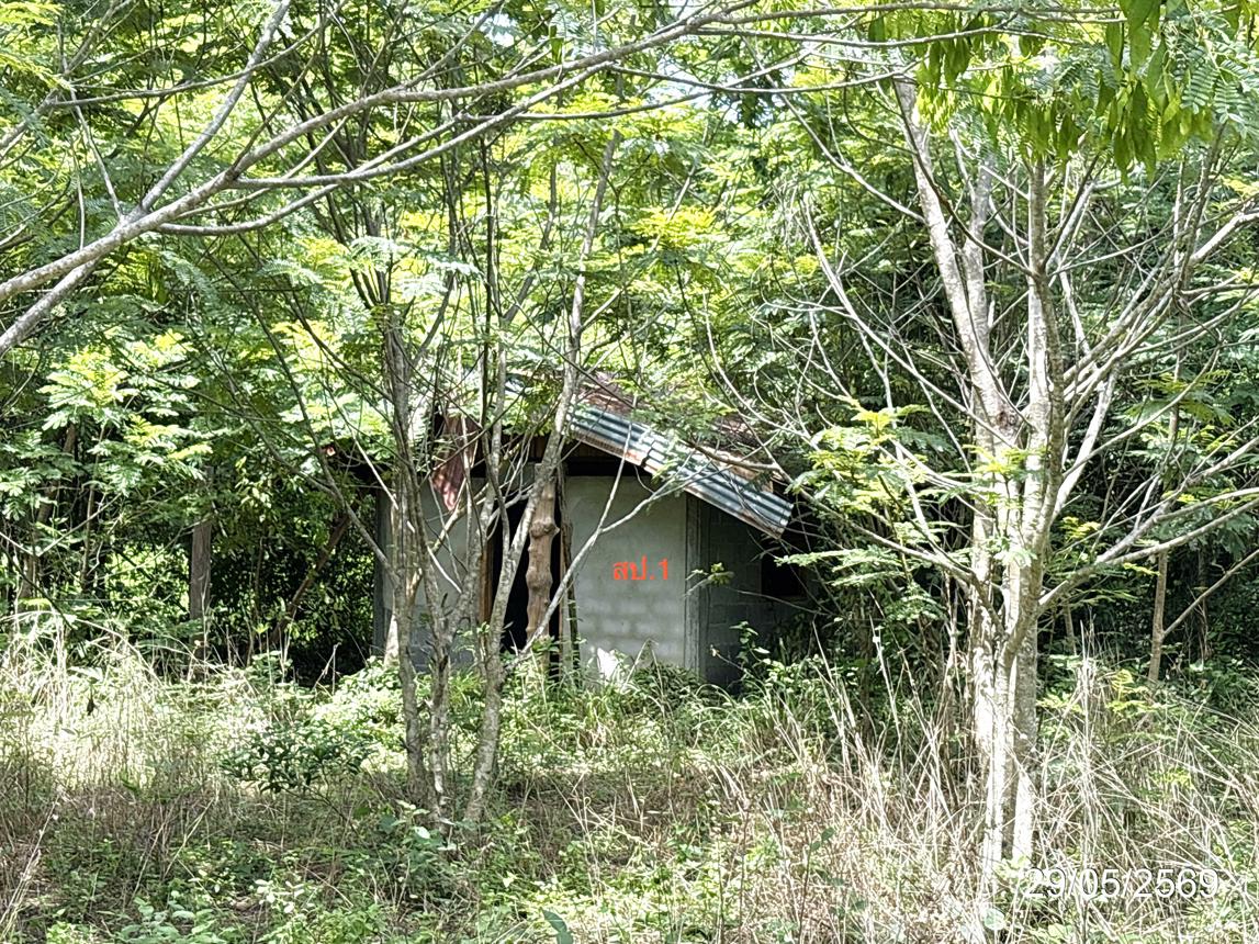 บ้านเดี่ยว ตำบลเขื่องใน อำเภอเดชอุดม จังหวัดอุบลราชธานี