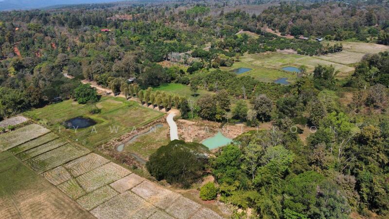 Prime 9-Rai Land for Sale Near Hot Springs, Chiang Mai