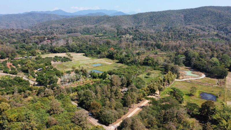 Prime 9-Rai Land for Sale Near Hot Springs, Chiang Mai