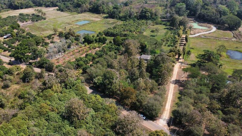 Prime 9-Rai Land for Sale Near Hot Springs, Chiang Mai