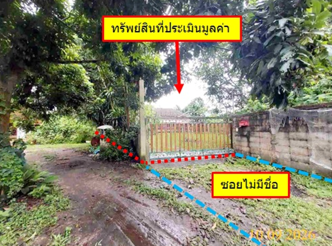 บ้านเดี่ยว ต้นไม้สุขสันต์ เชียงราย