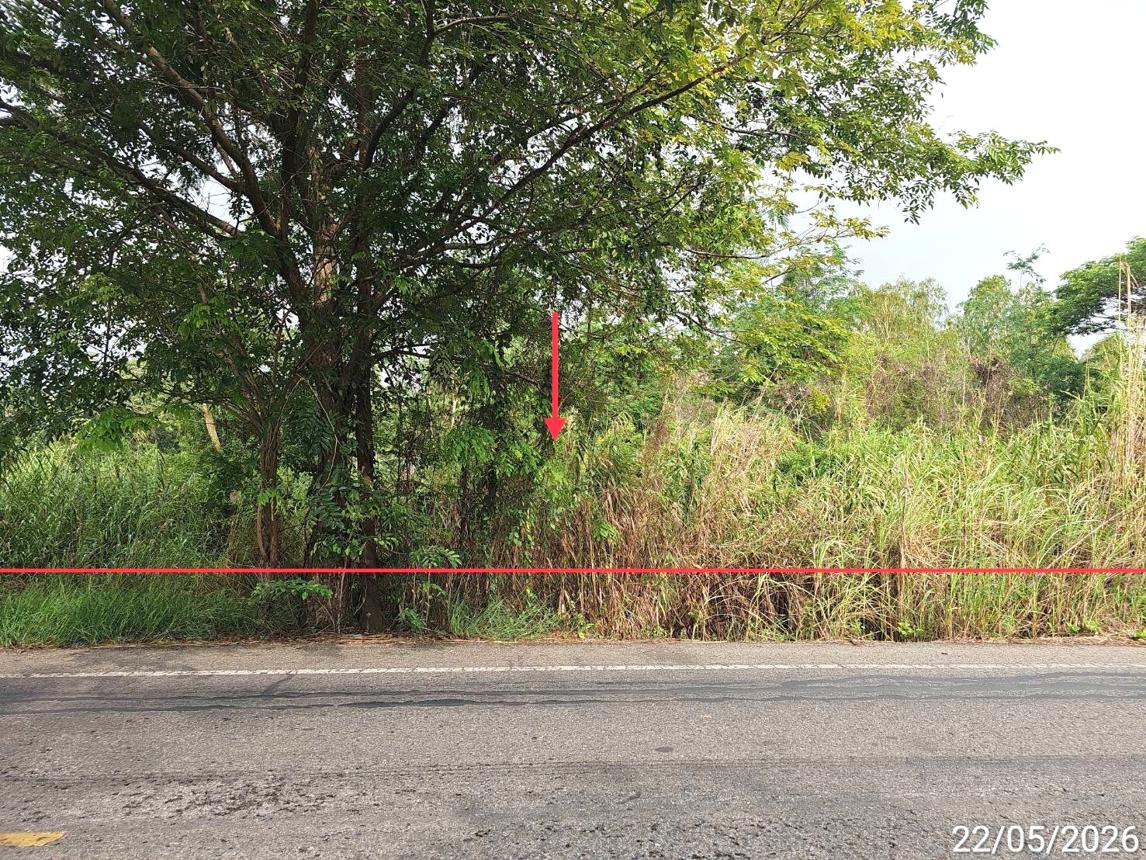ที่ดินว่างเปล่า ตะพานหิน จังหวัดพิจิตร