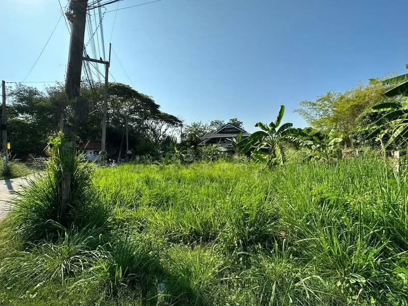 Land for sale near the sea in Bang Phra, Si Racha. Beautiful location., Chon Buri (Pattaya)
