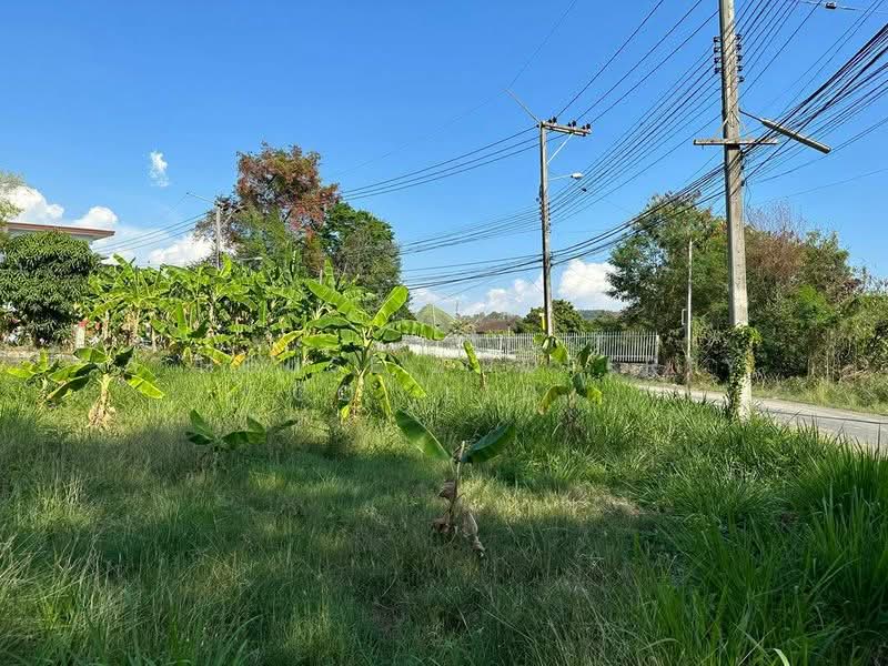 Land for sale near the sea in Bang Phra, Si Racha. Beautiful location., Chon Buri (Pattaya)