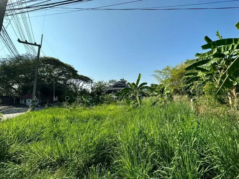 Land for sale near the sea in Bang Phra, Si Racha. Beautiful location., Chon Buri (Pattaya)