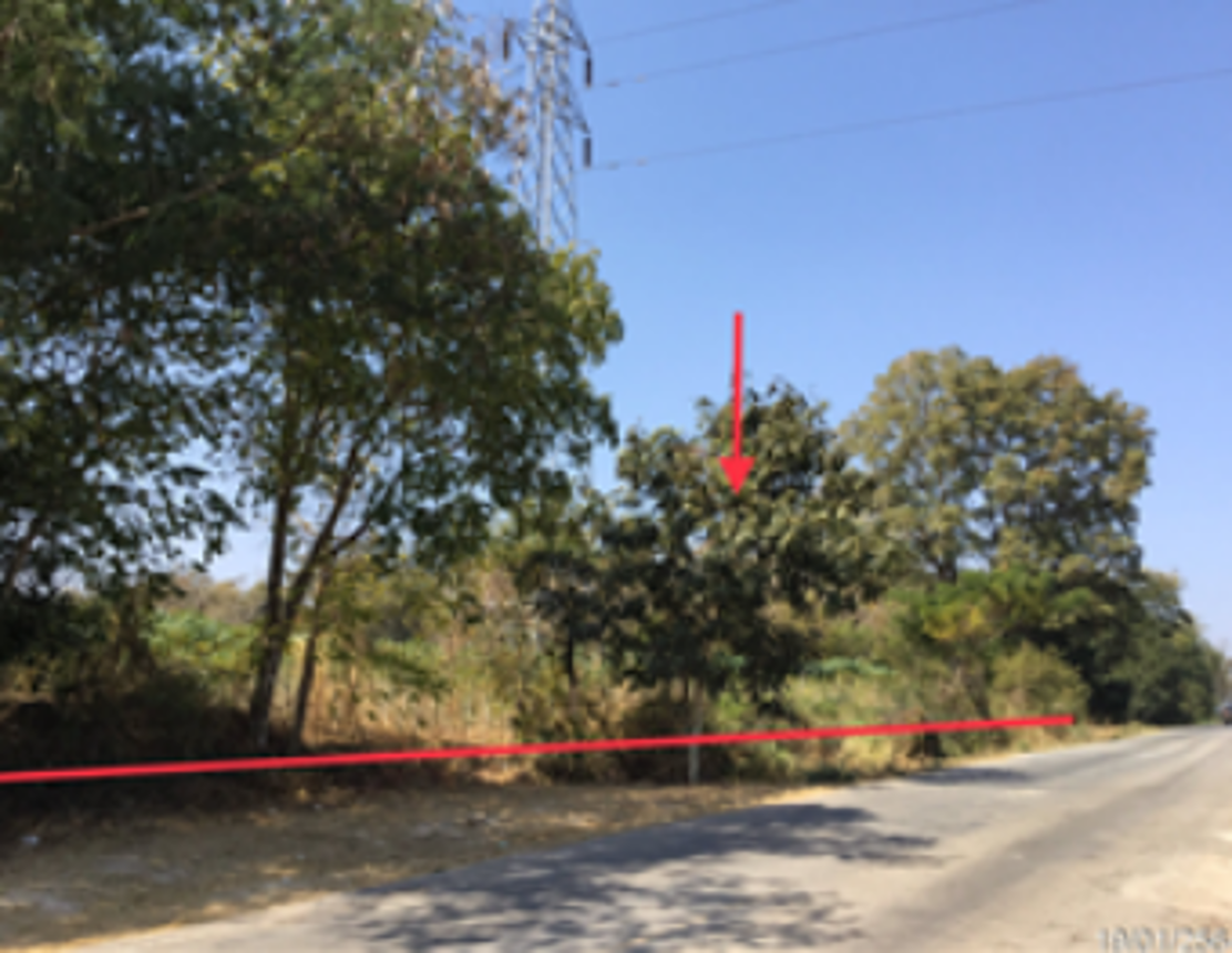 Vacant land in Non Bum Community, Udon Thani City, Udon Thani Province