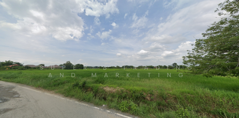 ที่ดิน แปลงยาว ฉะเชิงเทรา, Chachoengsao